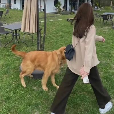 女子监狱第二季